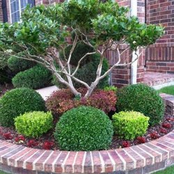 Tree & Shrub Care by Green Horse