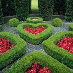 Formal garden bed and floral design por Green Horse