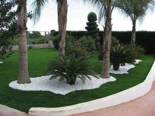 Palm and rock landscape detail por Green Horse