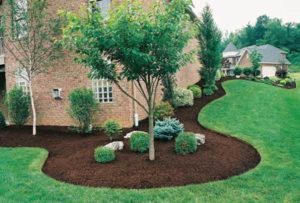 Mulch bed and lawn edge refresh por Green Horse