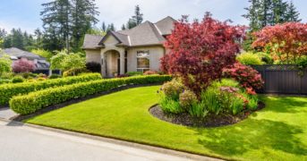 Residential Landscaping by Green Horse