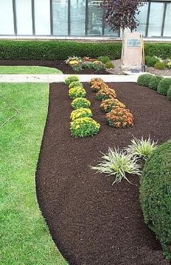 Clean commercial frontage planting bed by Green Horse