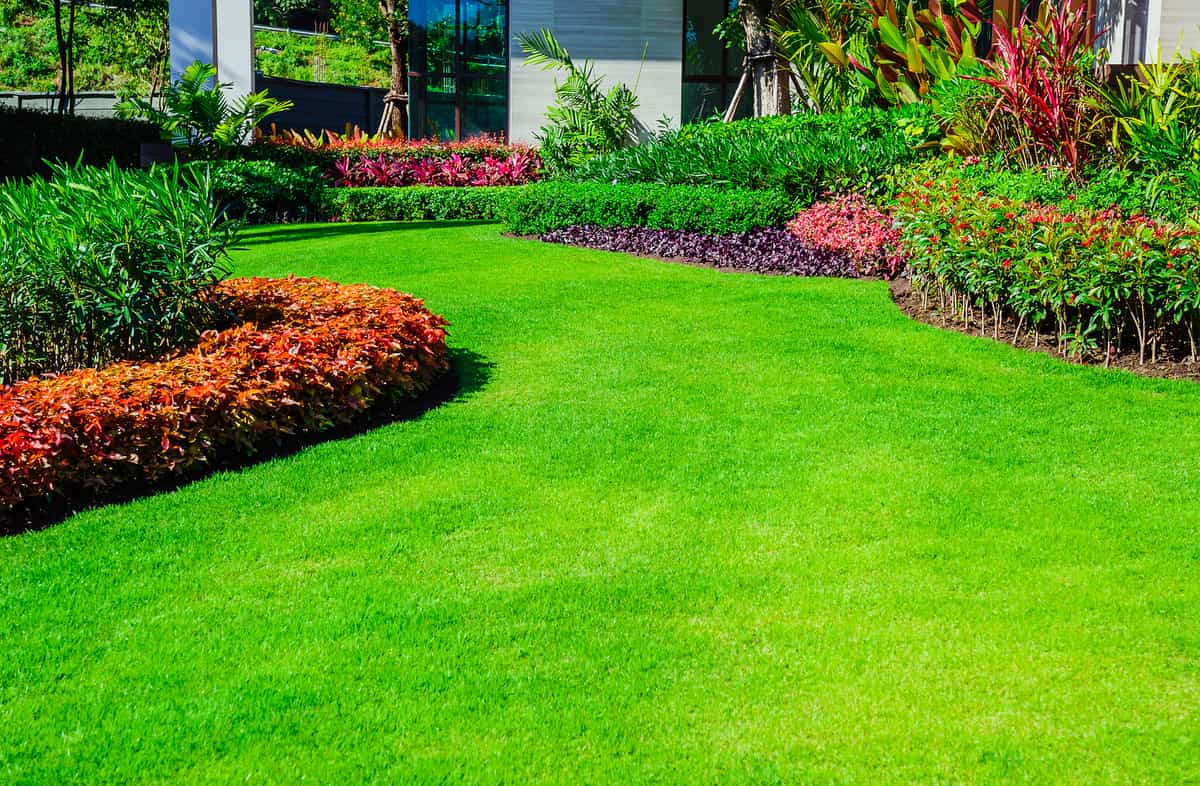 Sod Installation by Green Horse