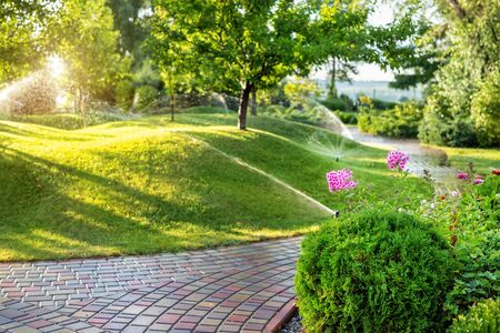 Sprinkler coverage near pavers and shrubs by Green Horse